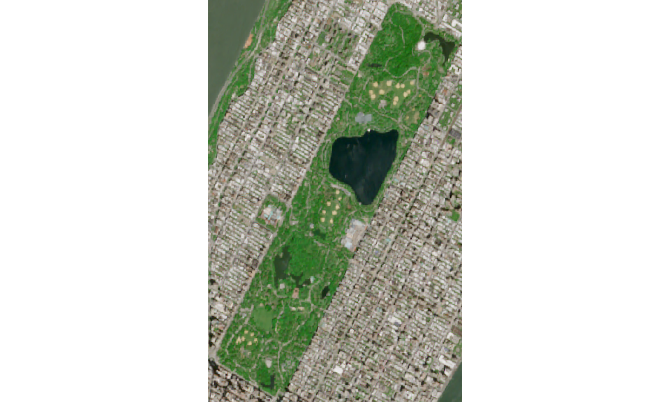 Central Park image as PNG file